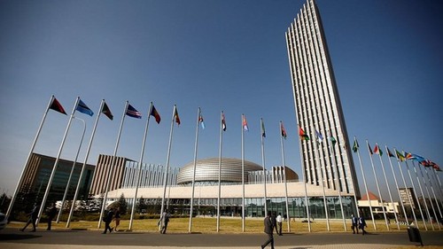 28th AU summit hails progress in Africa - ảnh 1